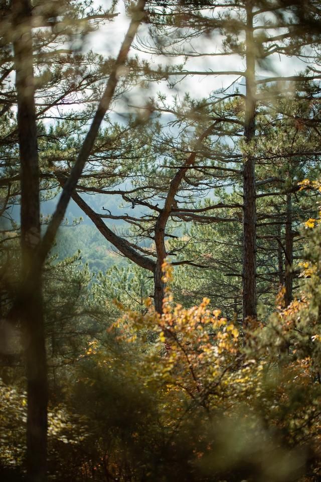 四季轮回春夏秋冬诗句,四季诗句春夏秋冬古诗