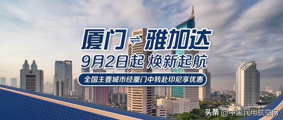 山航厦门有哪几条航线,山航济南直飞日本