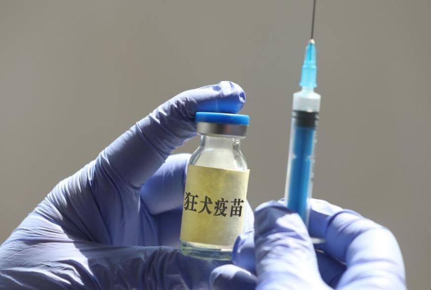 被狗咬伤打狂犬疫苗后还有事吗,被狗咬伤一年后打狂犬疫苗有用吗