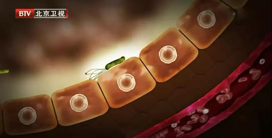 身体这四个地方发臭一定要注意,警惕身体出现7种异味八成患病