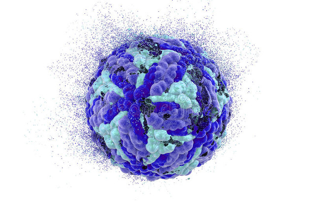 名医专家一览表,现存的中医名医有哪些