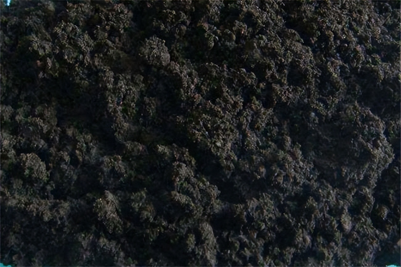 钯金多少钱一克2023,钯金多少钱一克最新报价