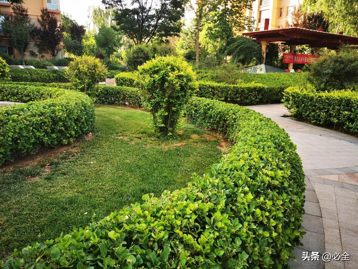 绿化覆盖率和容积率的区别,园区绿化率和绿化面积准确数据