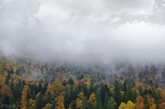 黄昏完整版免费阅读,黄昏剧情完整版