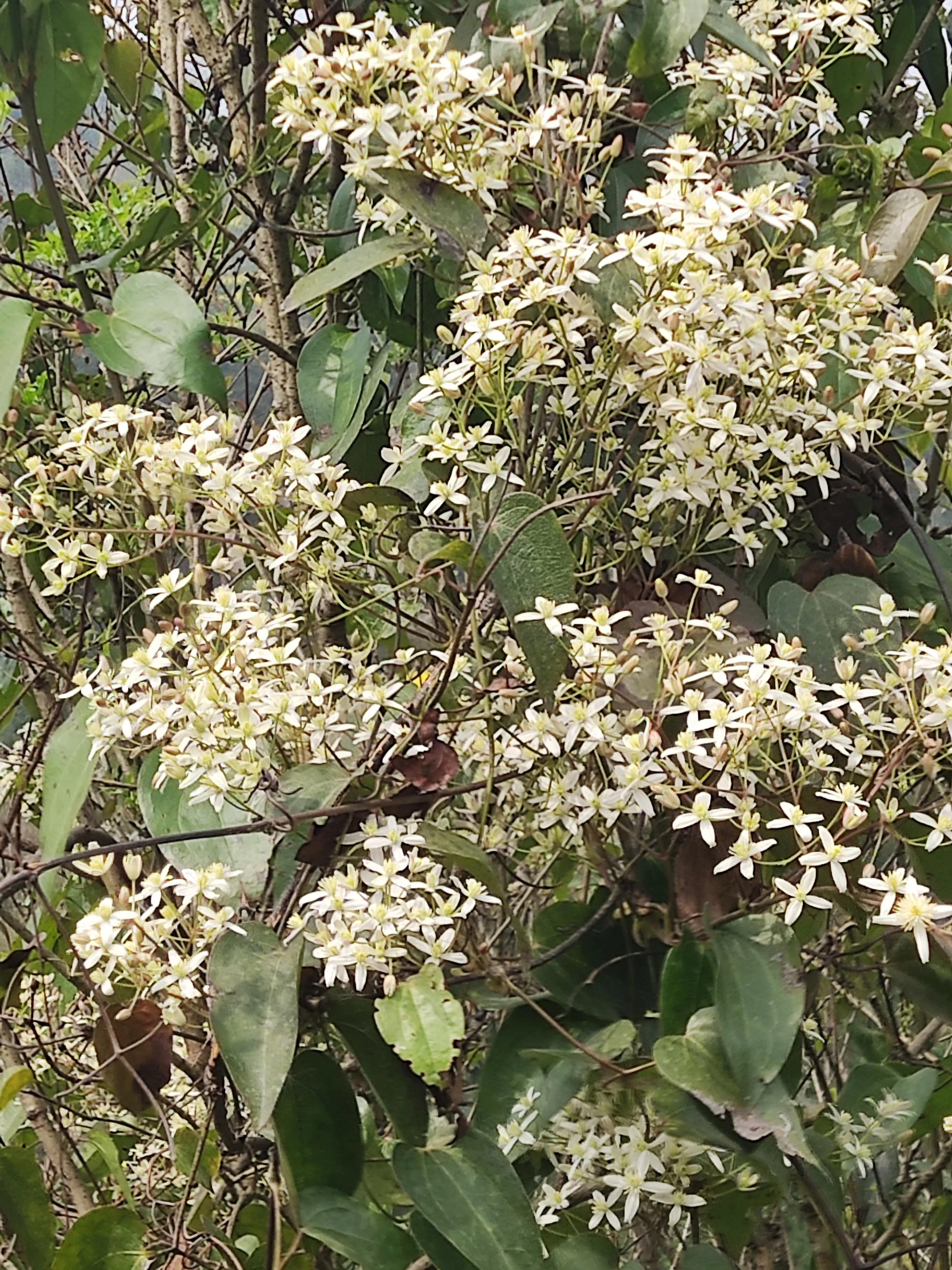 呼吸不通畅感觉气上不来咋回事,呼吸