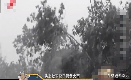 野猪林诡异事件,野猪林神秘事件