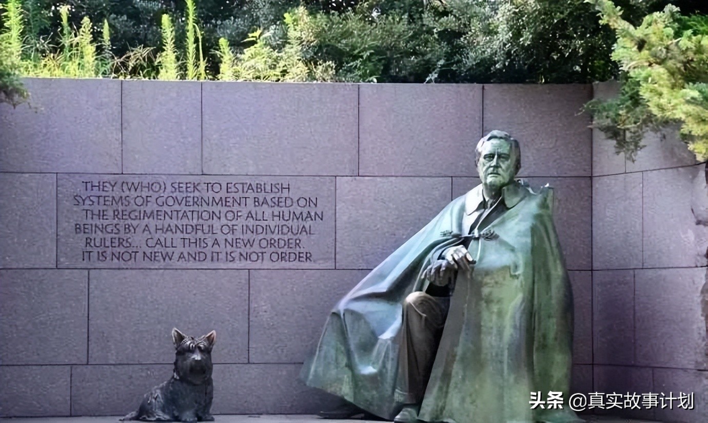 宠猫宠狗的最高境界，送它们去从政