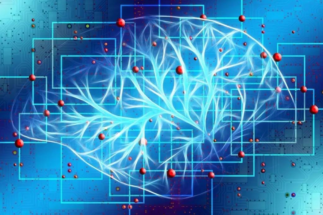 深度信念网络和皮层算法：监督分类的比较研究