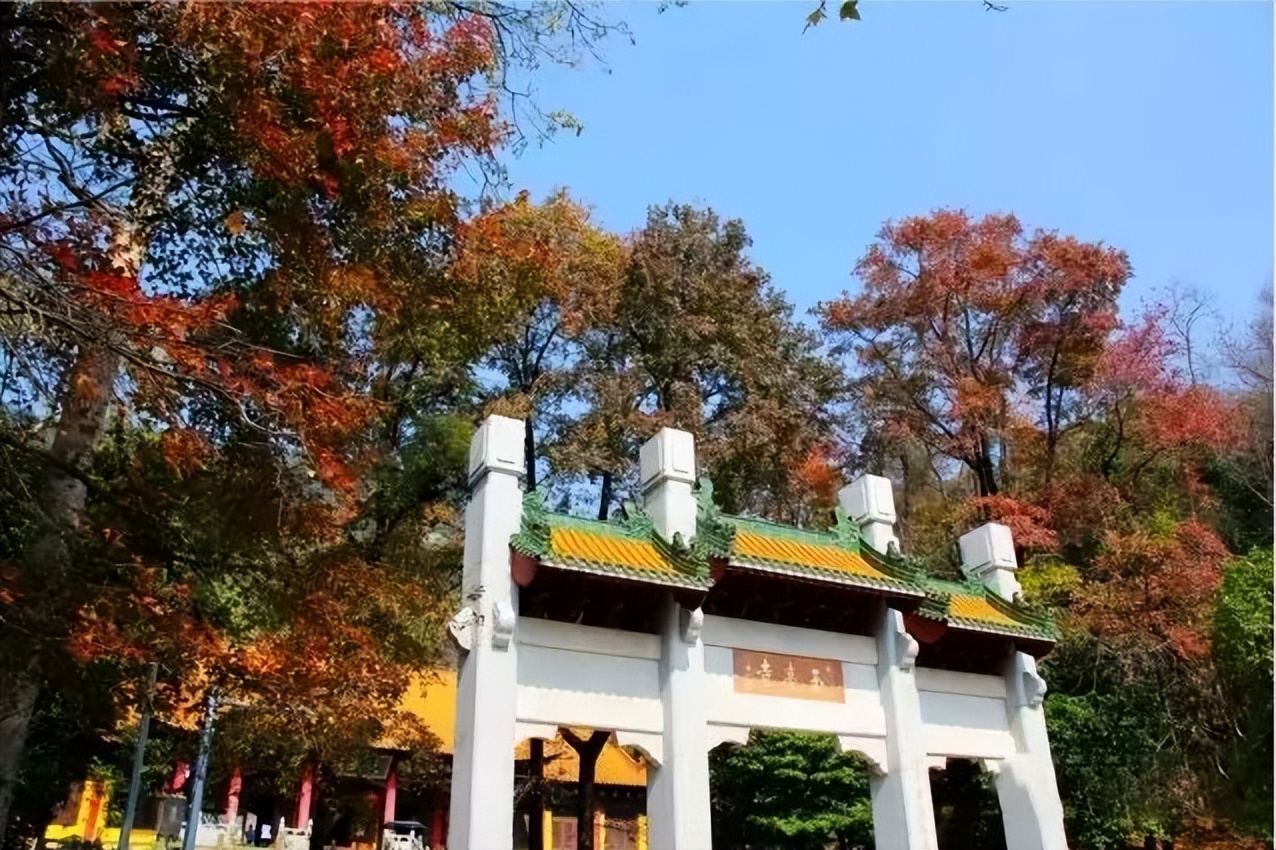 广州台山那琴半岛两日游,台山一日游必去景点牛山公园