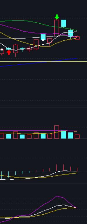 随心动含义,随心意交易软件怎么样
