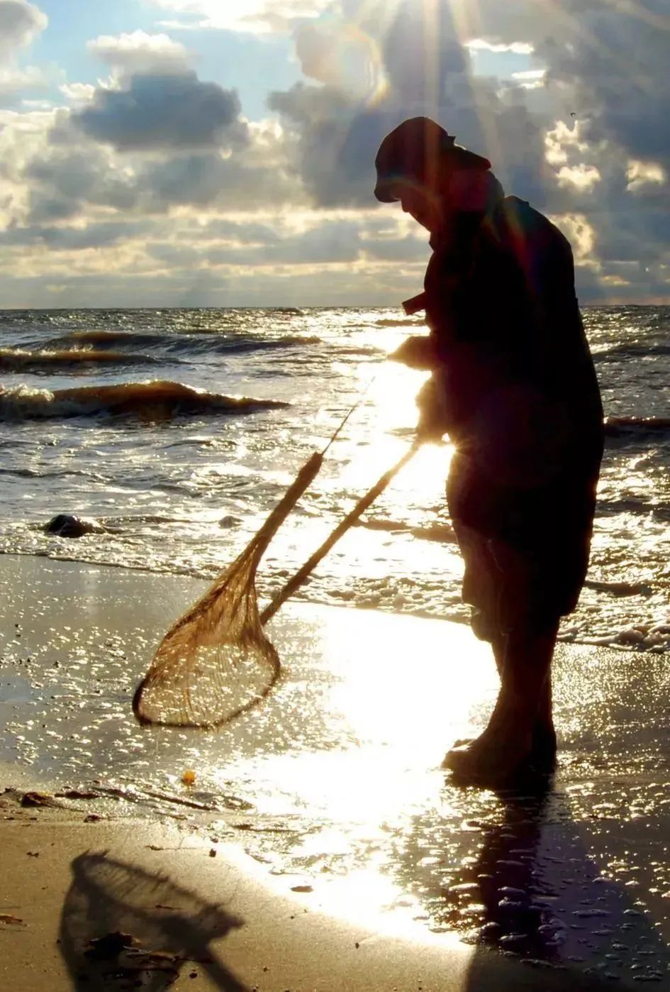 蜜蜡琥珀和蜜蜡有什么区别,千年蜜蜡万年红