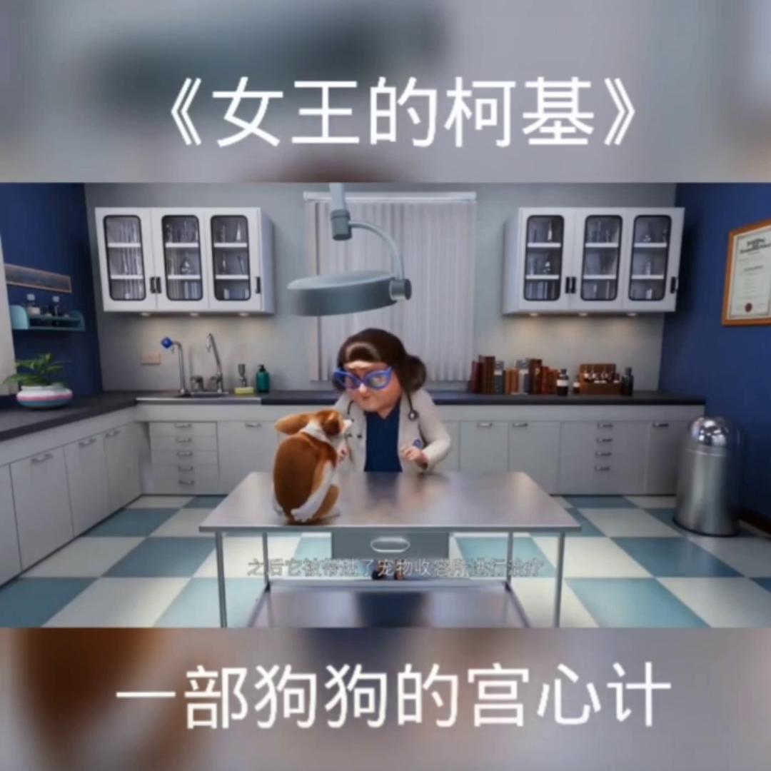 看了又看韩剧,看了又看全集