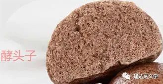 小时候发酵面包,小时候发酵饼