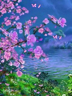 好看山水花鸟图,最漂亮的大自然山水花鸟图片大全