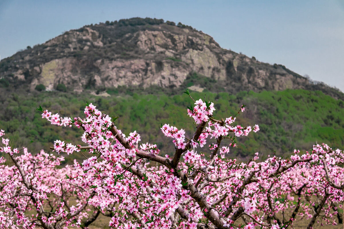 被称为华夏第一镇,曾被称为小上海