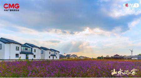 撒贝宁天工开物看稻田,撒贝宁赶海