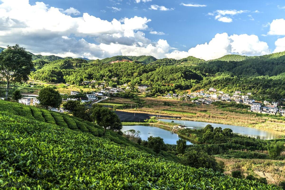 云南普洱旅游推荐,云南普洱好玩的景点都有哪些