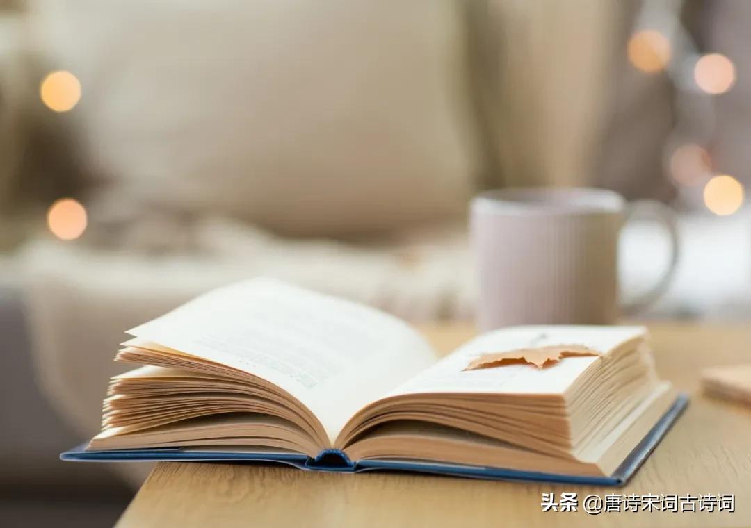 枕上诗书闲处好,枕上诗书闲处好讲解