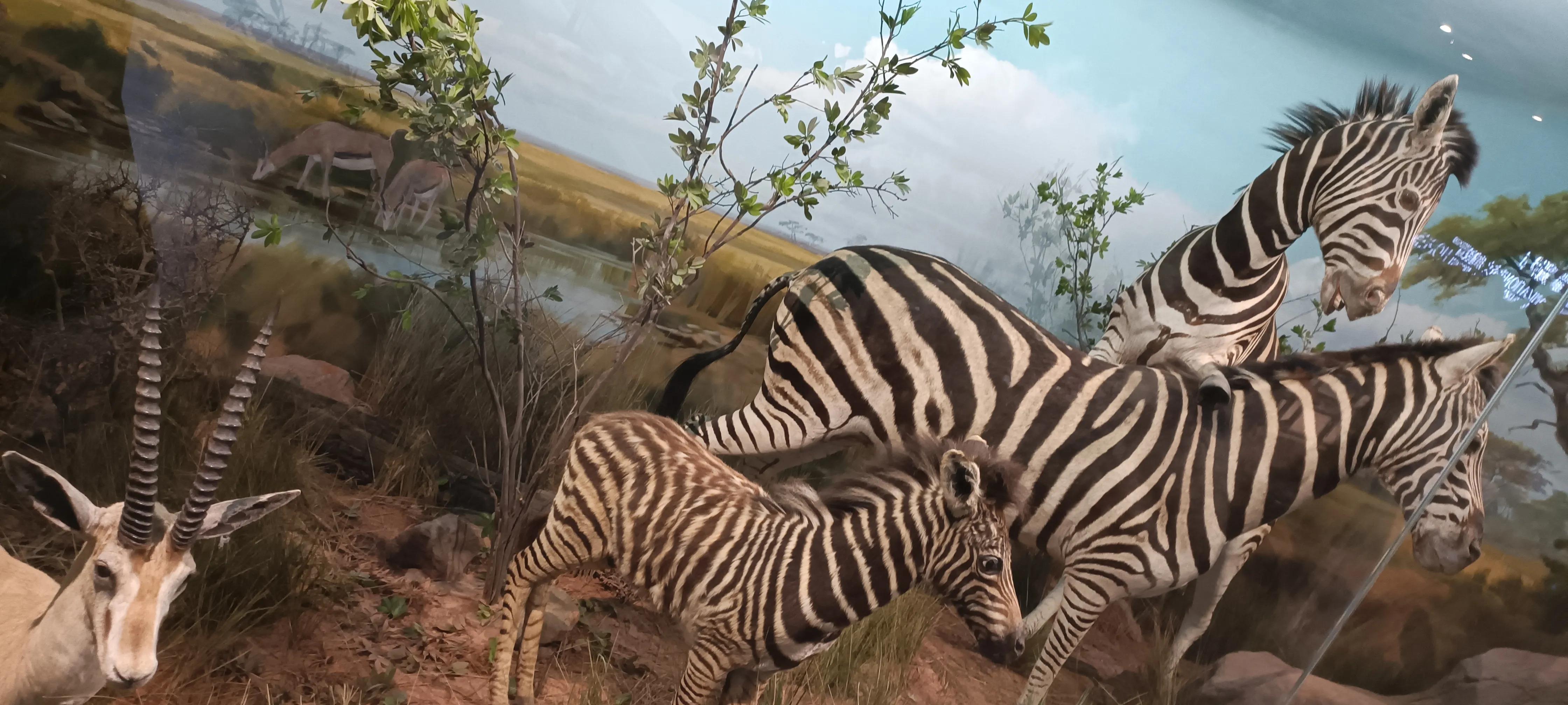 河南省科技馆新馆中标公示,河南省科技馆新馆预约门票