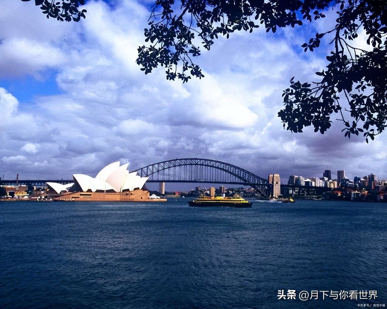 各国的奇葩法规,国外的奇葩禁令