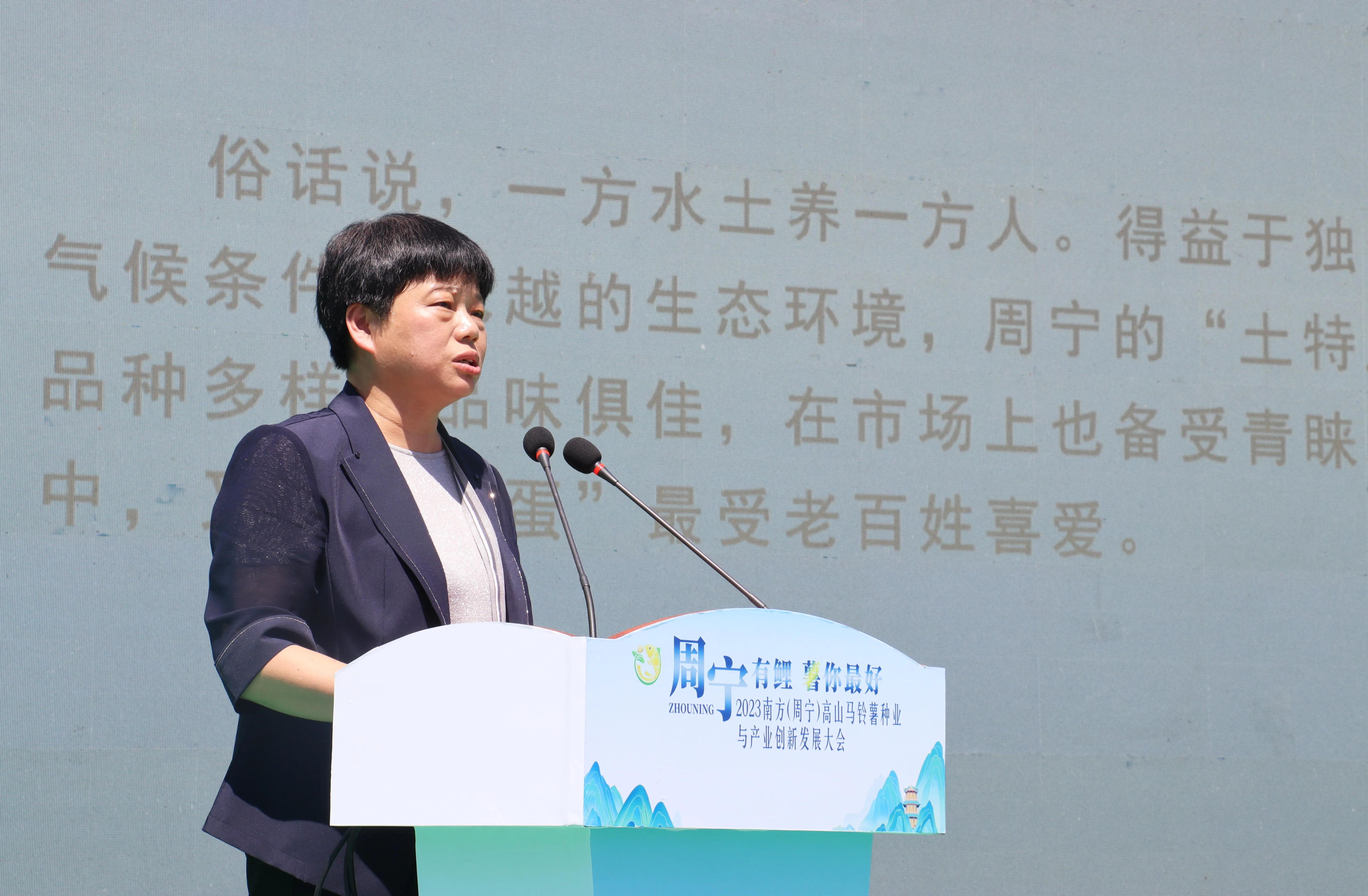 乡村振兴浮山小土豆,乡约乡村振兴