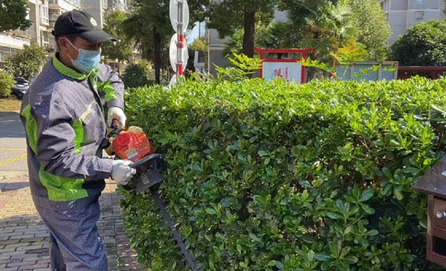 弘阳服务全国物业排名,弘阳服务集团照片