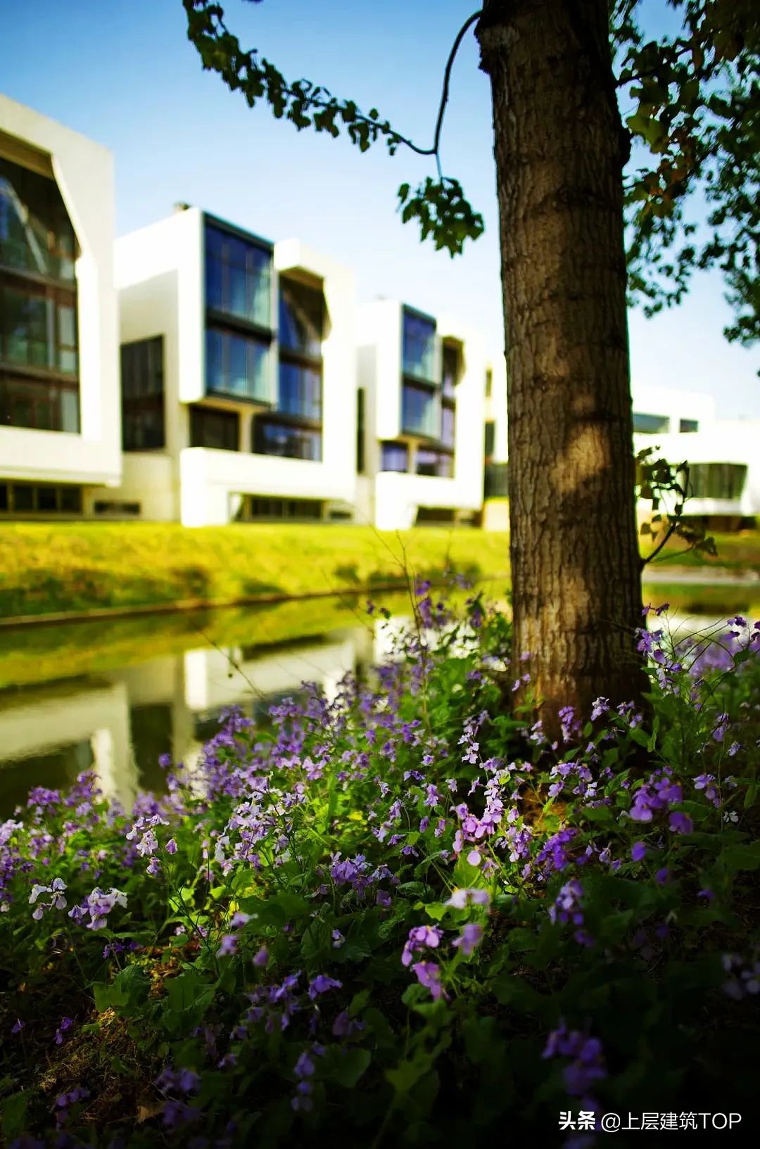 西安网红打卡名媛,奈良网红打卡