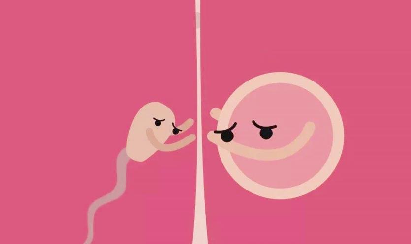 老年女性体内的节育环还用取掉吗,体内节育环几年要取掉