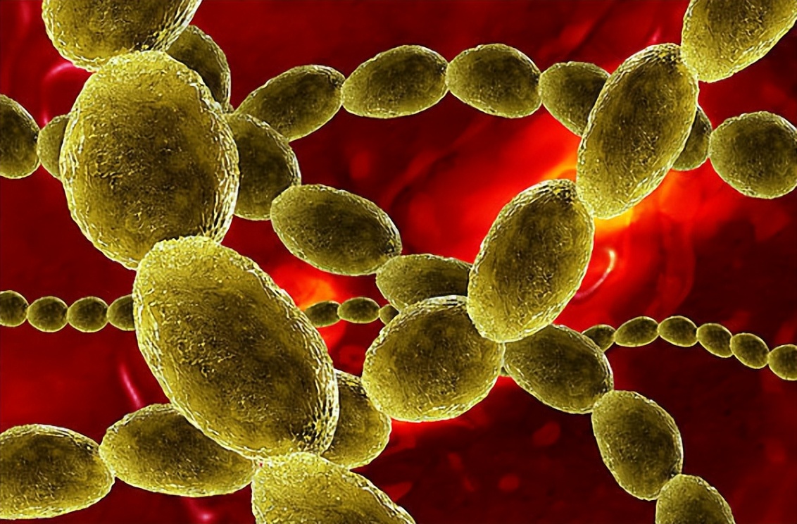 人体抵御细菌感染的第一道防线,人体卫士大战细菌