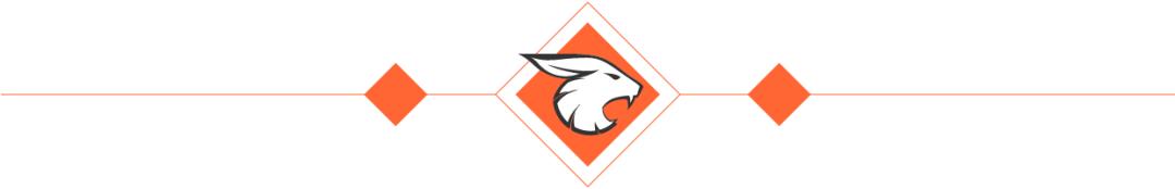 网络钓鱼装备推荐新手入门,网络钓鱼常见攻击手段有哪些