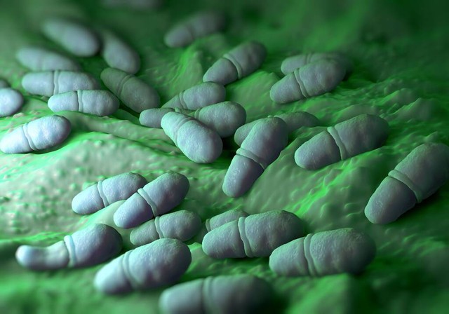 捷足先登!国产1类新药奥特康唑上市,妇科病治疗获得新*器武**