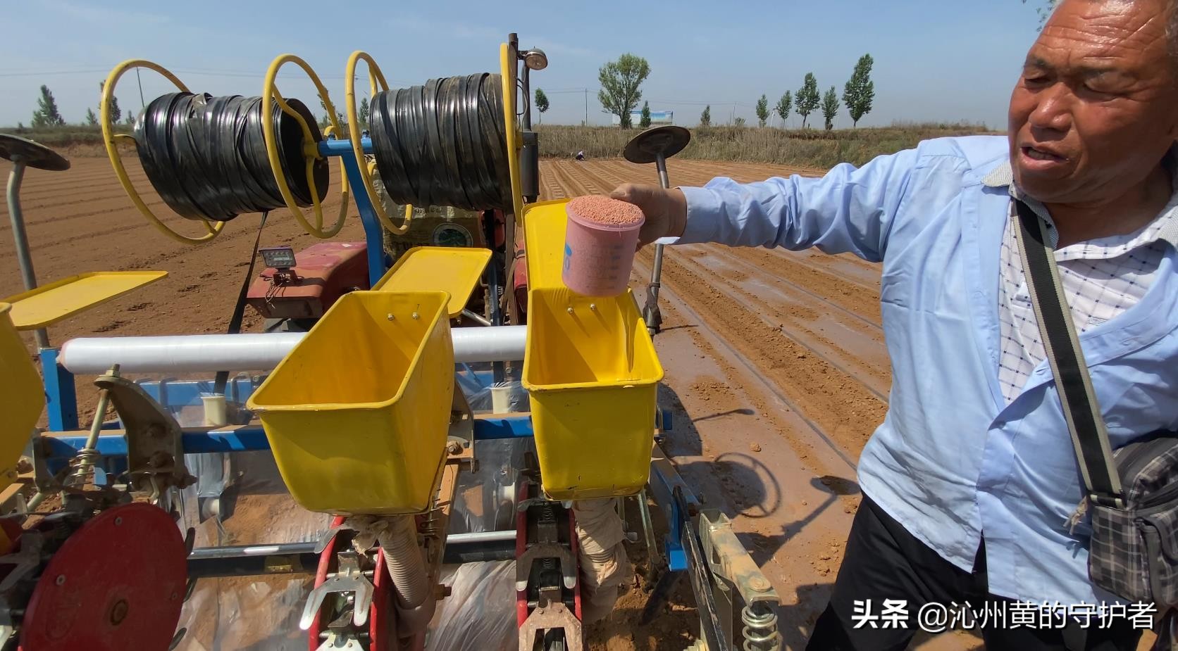 最美职工化身谷子田里“新农人”--公司超千亩连片基地春播掠影