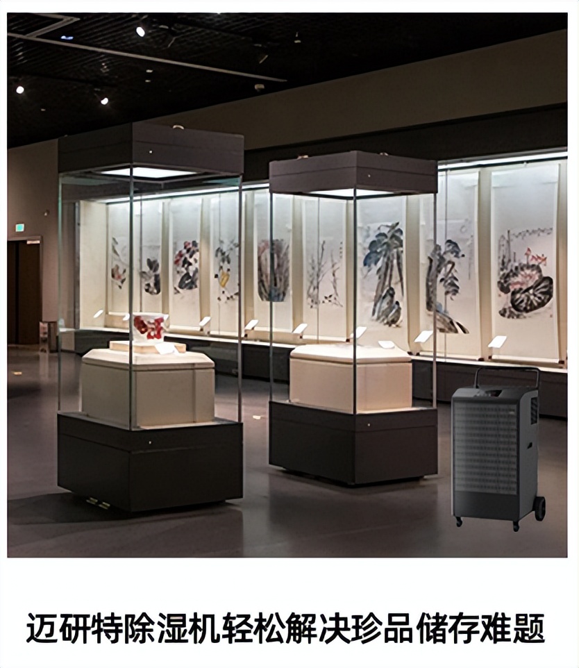 合理控湿，别让潮湿破坏了*物文**的价值-博物馆湿度控制设备