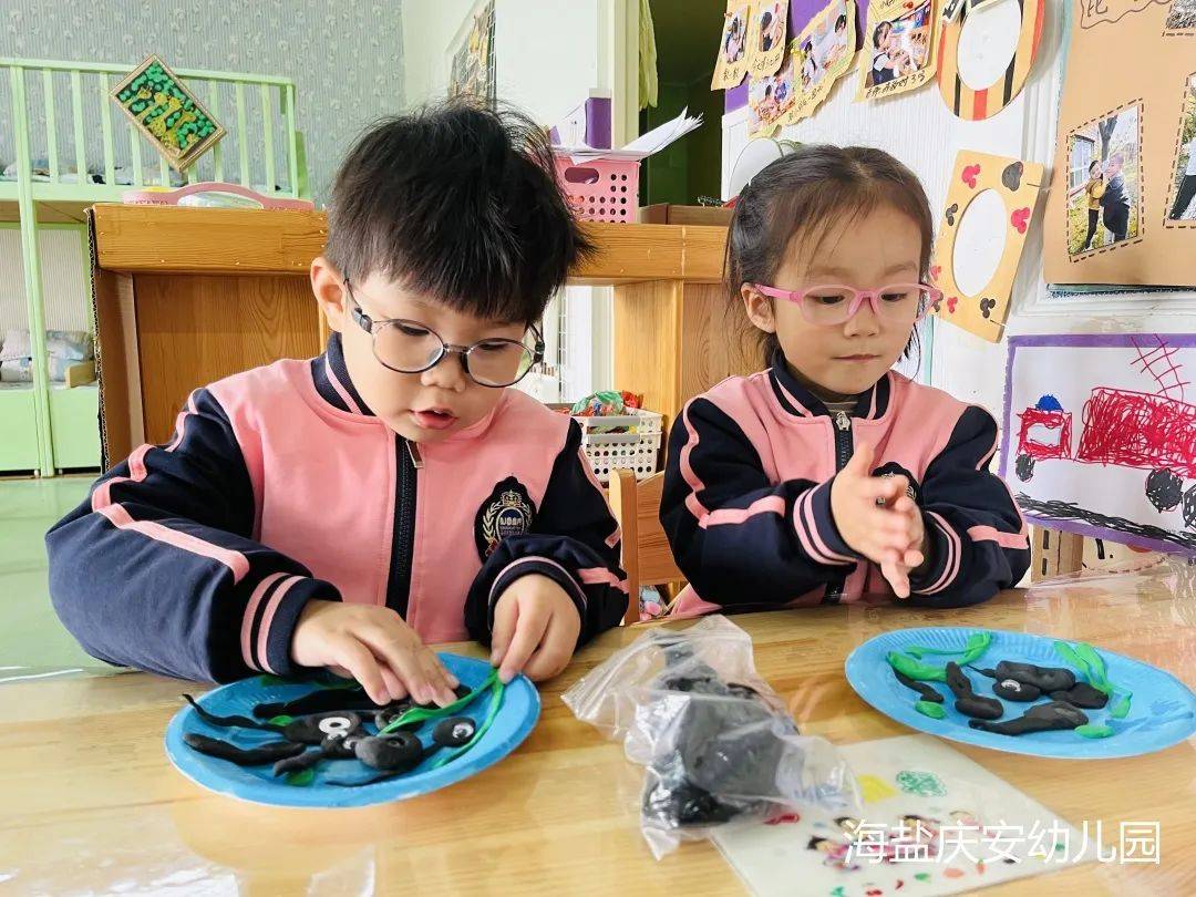 邂逅蝌蚪，感受生命的演变—诺亚舟海盐庆安幼儿园小一班