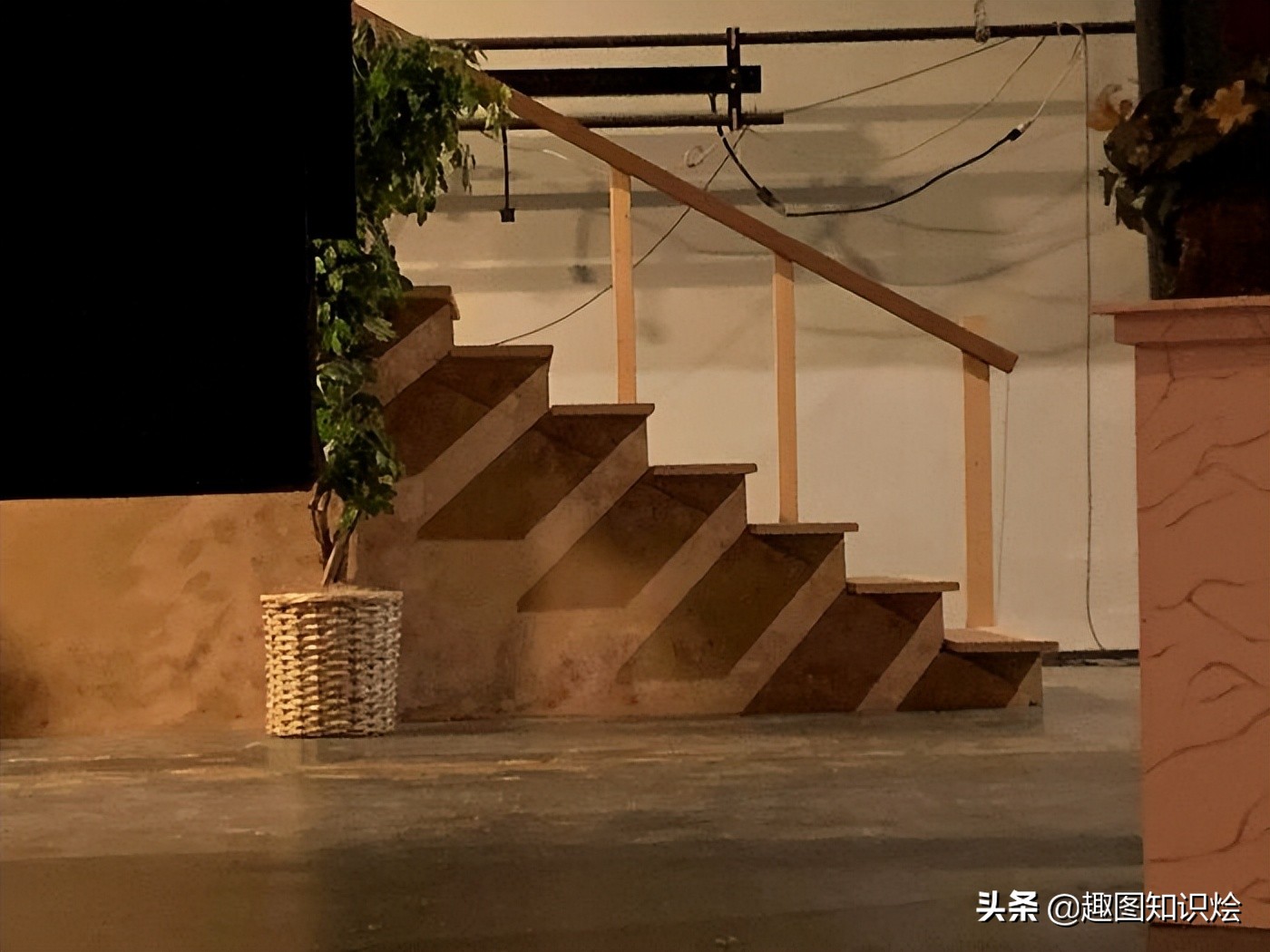 电鳗鳄鱼同归于尽,鳄鱼与电鳗同归于尽