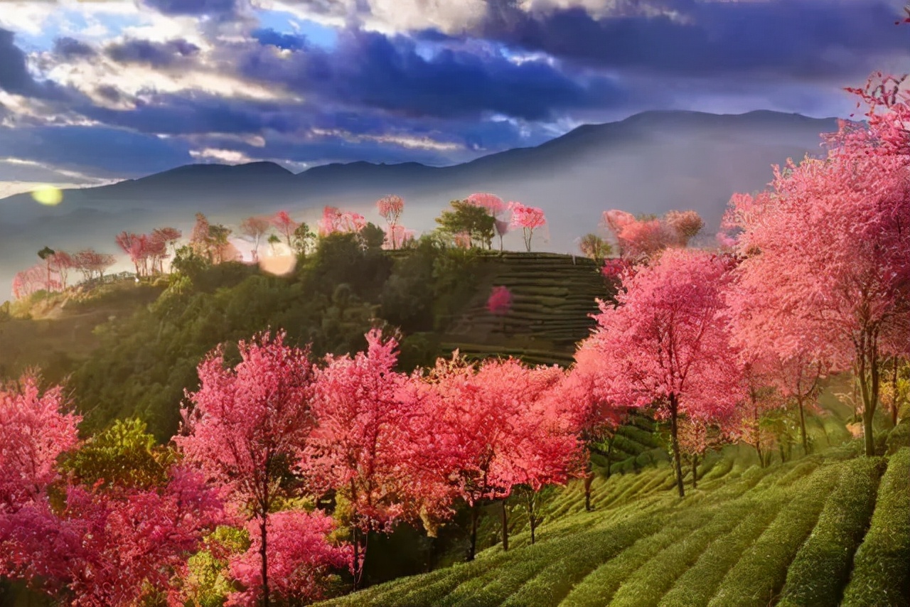 淡季大理堪称人间理想,大理的旺季真实体验