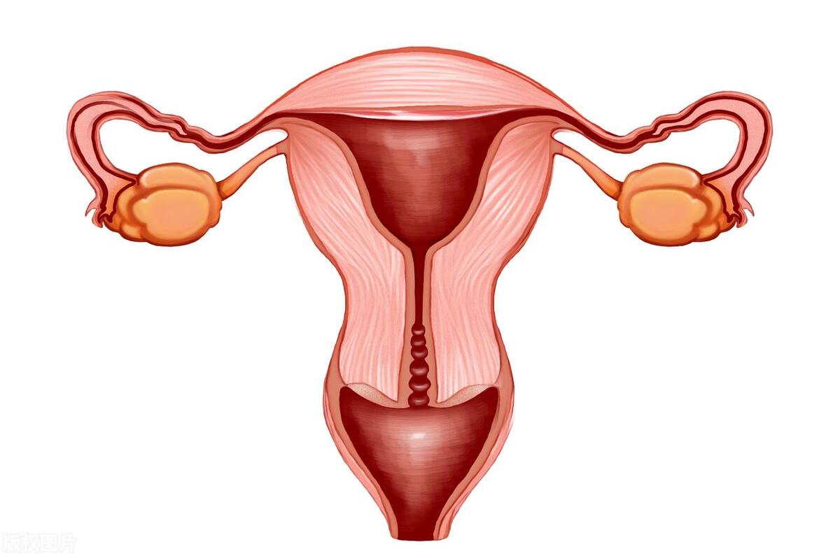 人体内稀奇古怪的物体,人体发现的奇葩物品