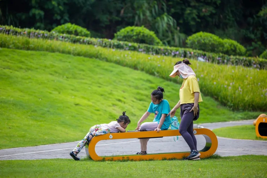 深圳淘金山绿道公园攻略,深圳淘金山绿道风景视频