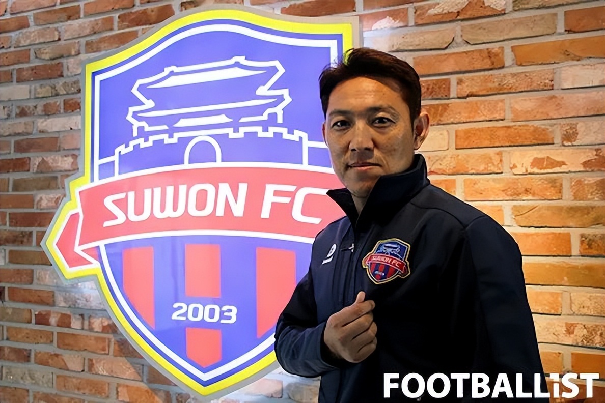 金大仪李玮峰,金大仪与李玮峰