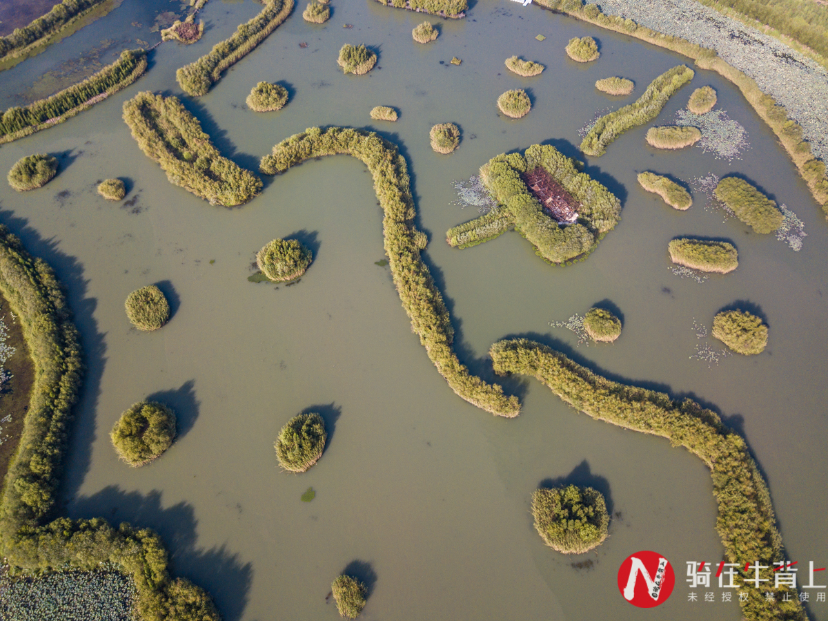 来苏州必去的十大旅游景点,来苏州玩七个景点免费