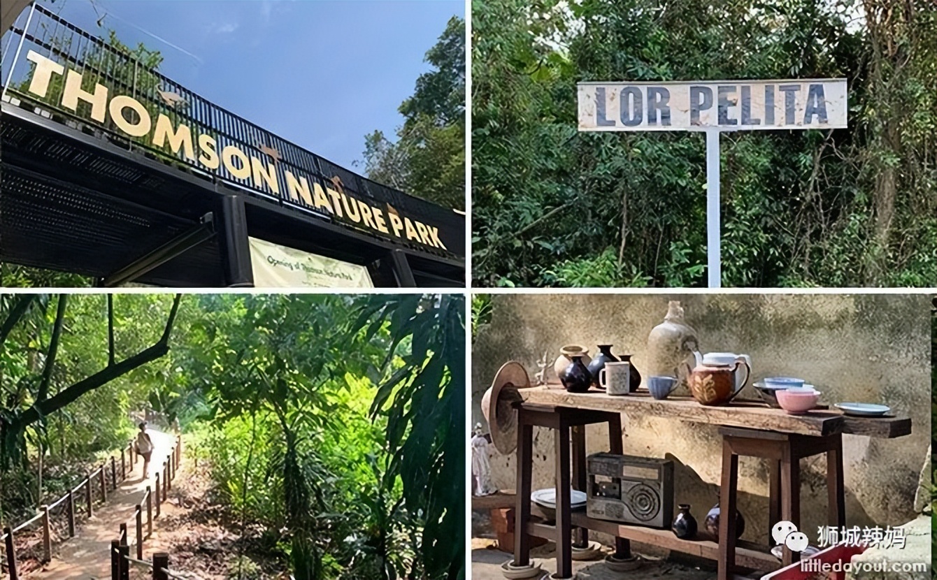 新加坡遛娃免费景点推荐一下,新加坡周末遛娃