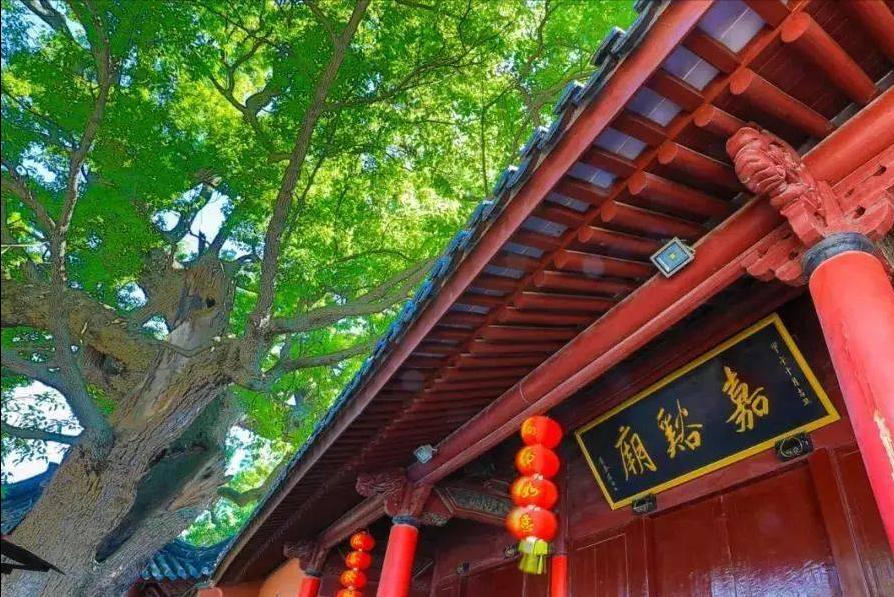 宁波海曙十大最美古村,宁波北仑古镇老街