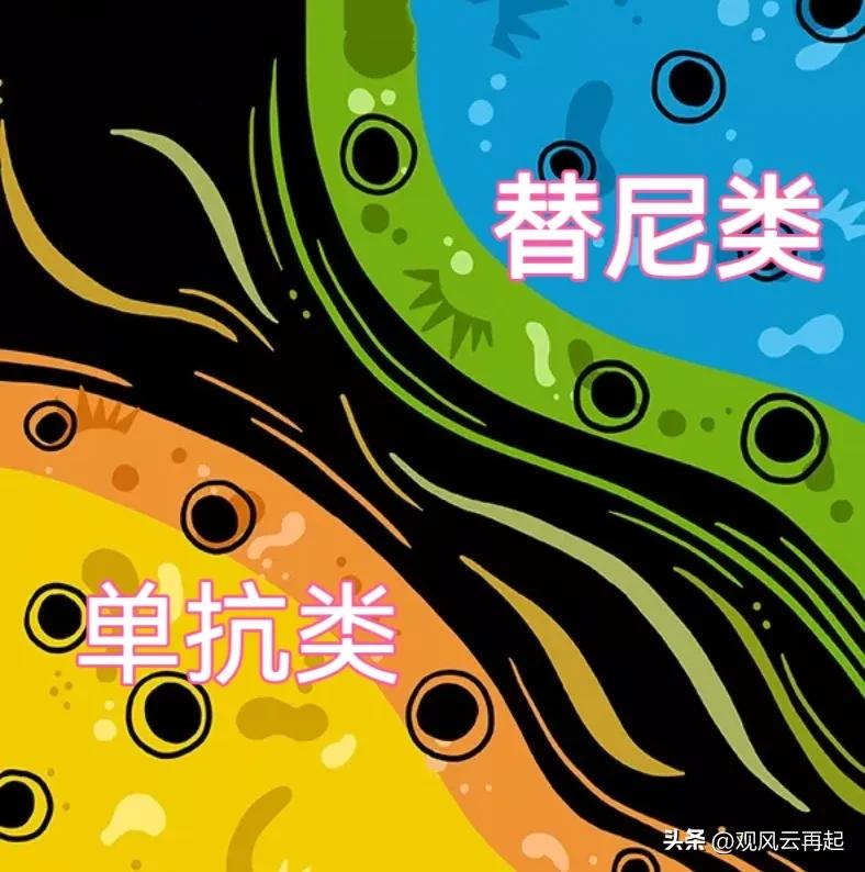 替尼和单抗有什么区别,替雷利珠单抗和阿帕替尼