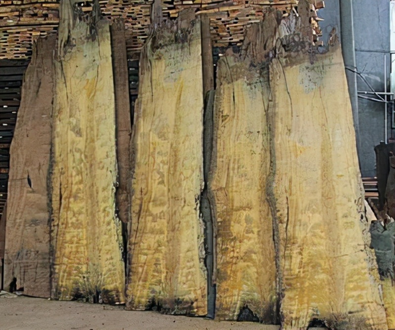 上亿乌木案,四川乌木案件乌木去了哪里