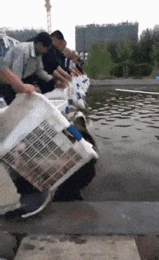 冰糕掉了一半,冰糕化在地上干了怎么清理