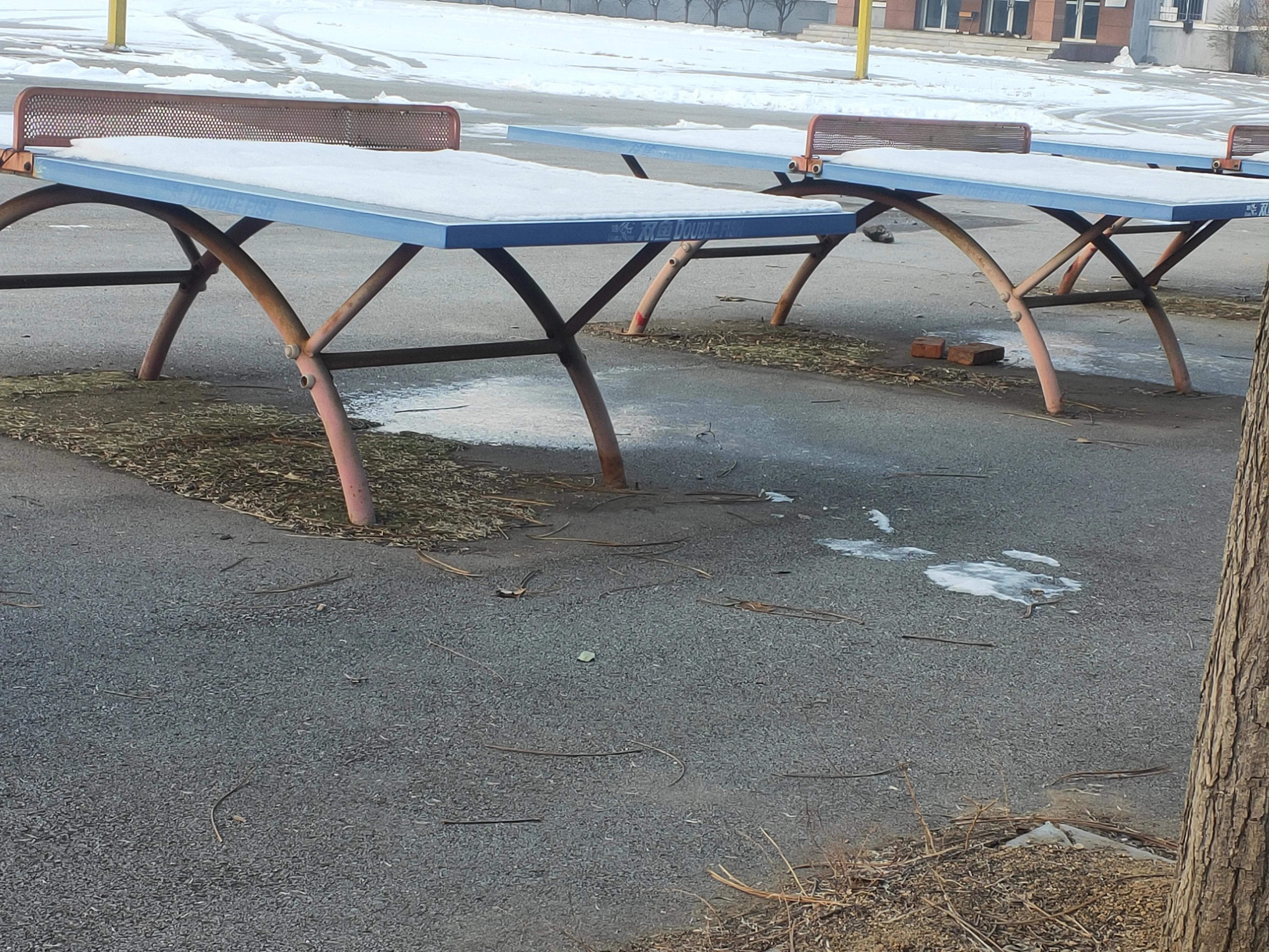 热身服乒乓球,蝴蝶乒乓球衣