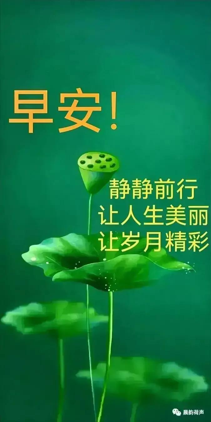 2023年农历是什么年癸卯年,农历2023年癸卯年正月结婚吉日