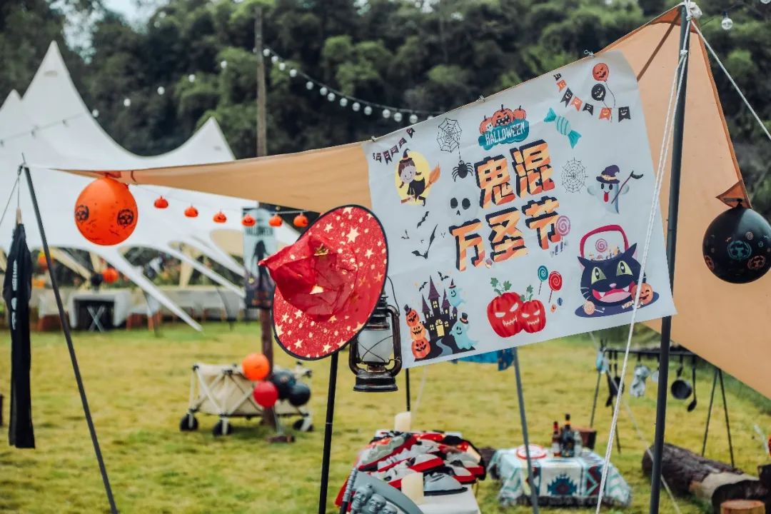 萌宠万圣狂欢夜,萌宠露营云龙区