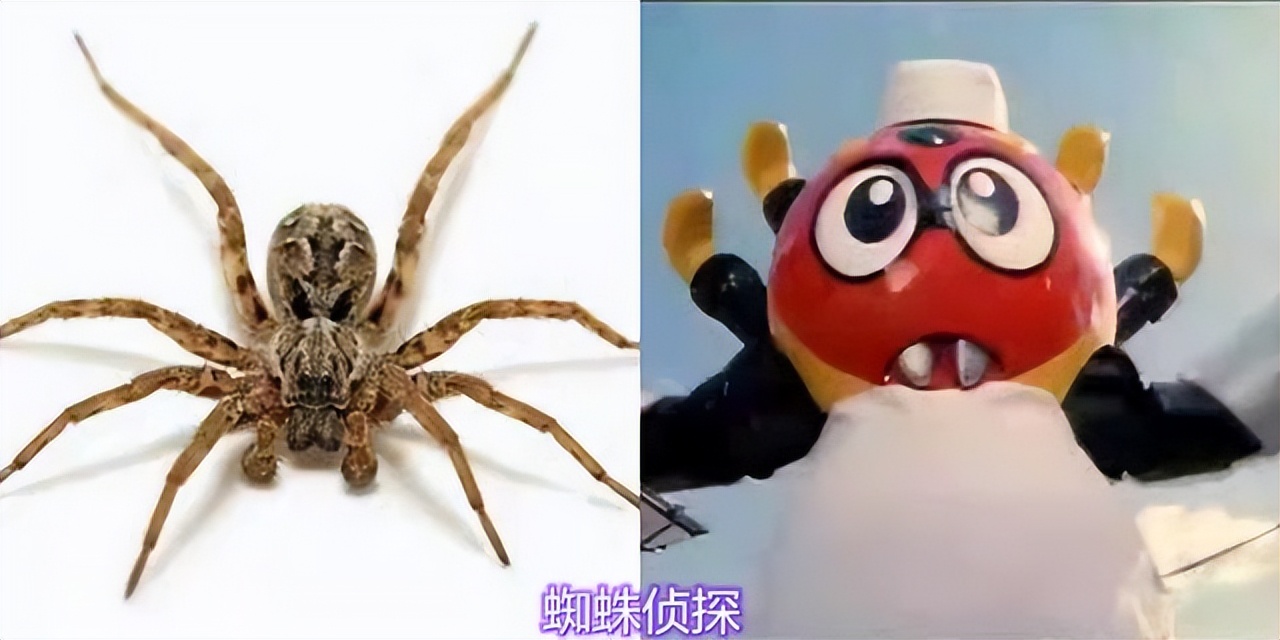 铁甲小宝里有哪些机器人,铁甲小宝中所有机器人图片