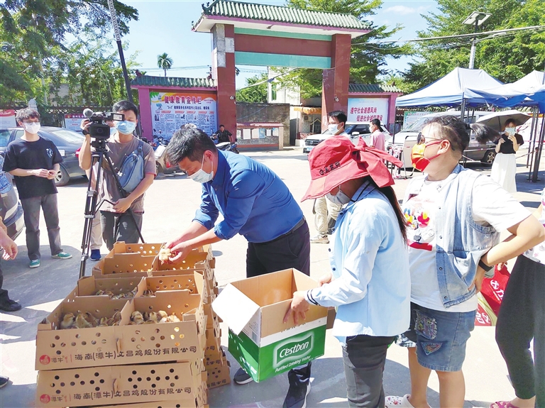 赤草村“博士村长”养鸡记